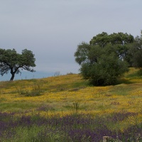 Photo de Espagne - Séville